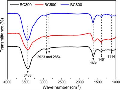 Application of Biochar Derived From Pyrolysis of Waste Fiberboard on Tetracycline Adsorption in Aqueous Solution